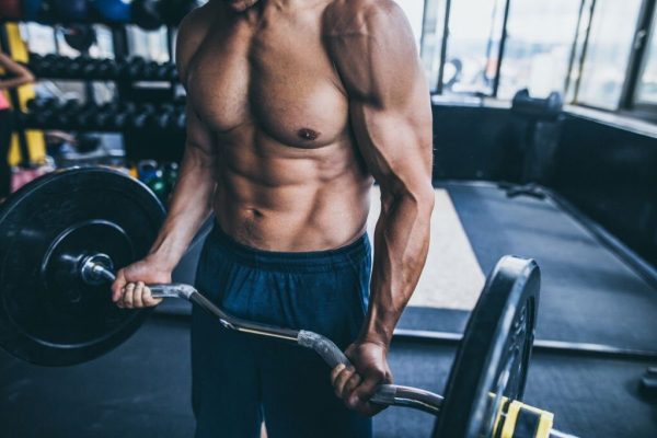 Bodybuilders abdominal muscles Bodybuilders abdominal muscles